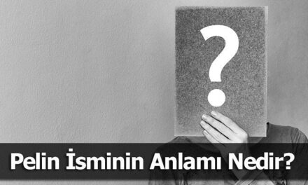 Pelin İsminin Anlamı Nedir? Pelin Ne Demek, Ne Anlama Gelir?