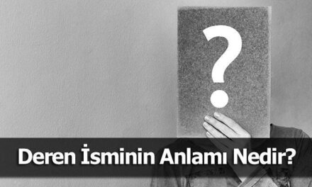 Deren İsminin Anlamı Nedir? Deren Ne Demek, Ne Anlama Gelir?