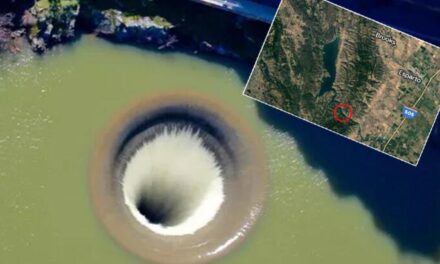 Kıyametin sıfır noktası! Yüzerken içine çekip yuttu, gerçek çok başka