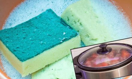 Mikrop kaynağı her gün elinizin altında! Temizlemeyi unutanlar şimdi yandı