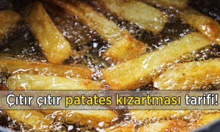 Her ısırıkta lezzet şöleni yaşatıyor! Patates kızartmanız çıtır çıtır olacak… İçine birkaç damla eklemeniz yeter