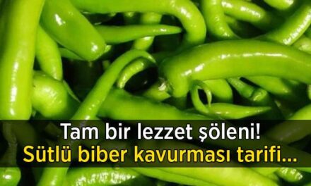 Sütle biber birleşirse ne olur? Damak çatlatan sütlü biber kavurma tarifi…