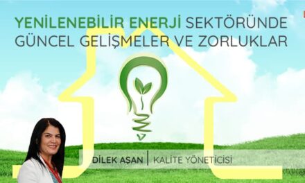 Yenilenebilir Enerji Sektöründe Güncel Gelişmeler ve Zorluklar