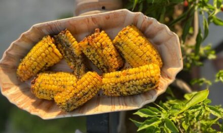 20 Dakikada: Airfryer’da Kaburga Mısır