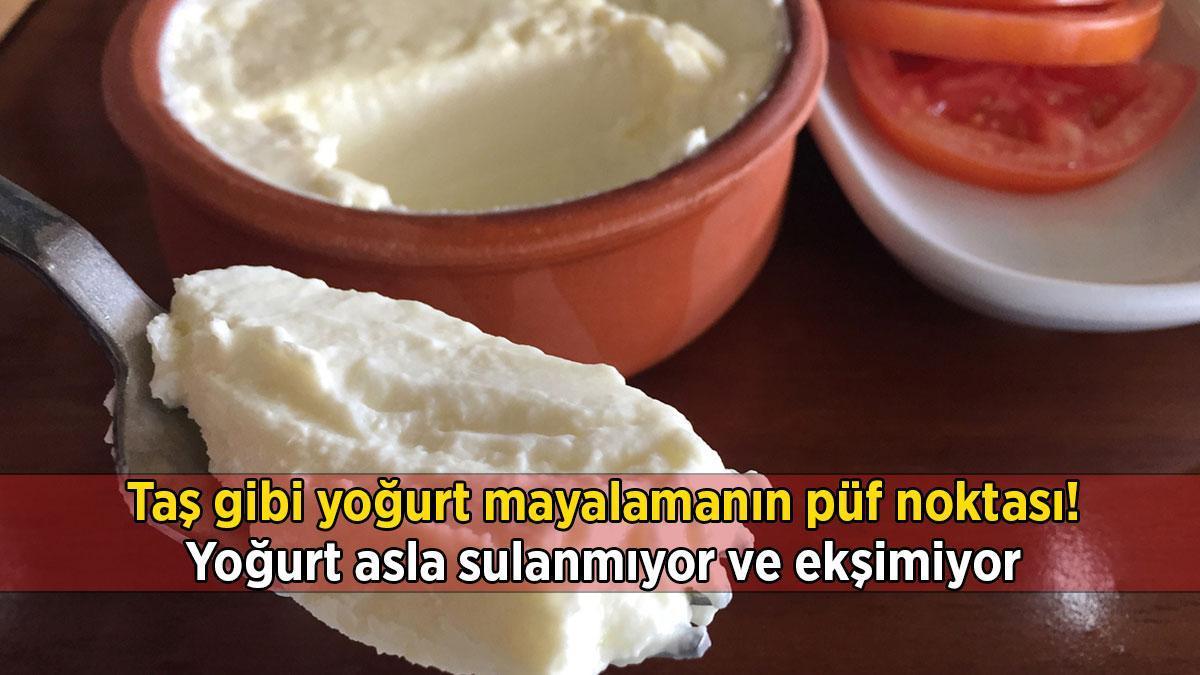 Taş gibi yoğurt mayalamanın püf noktası: Yoğurt asla sulanmıyor ve ekşimiyor