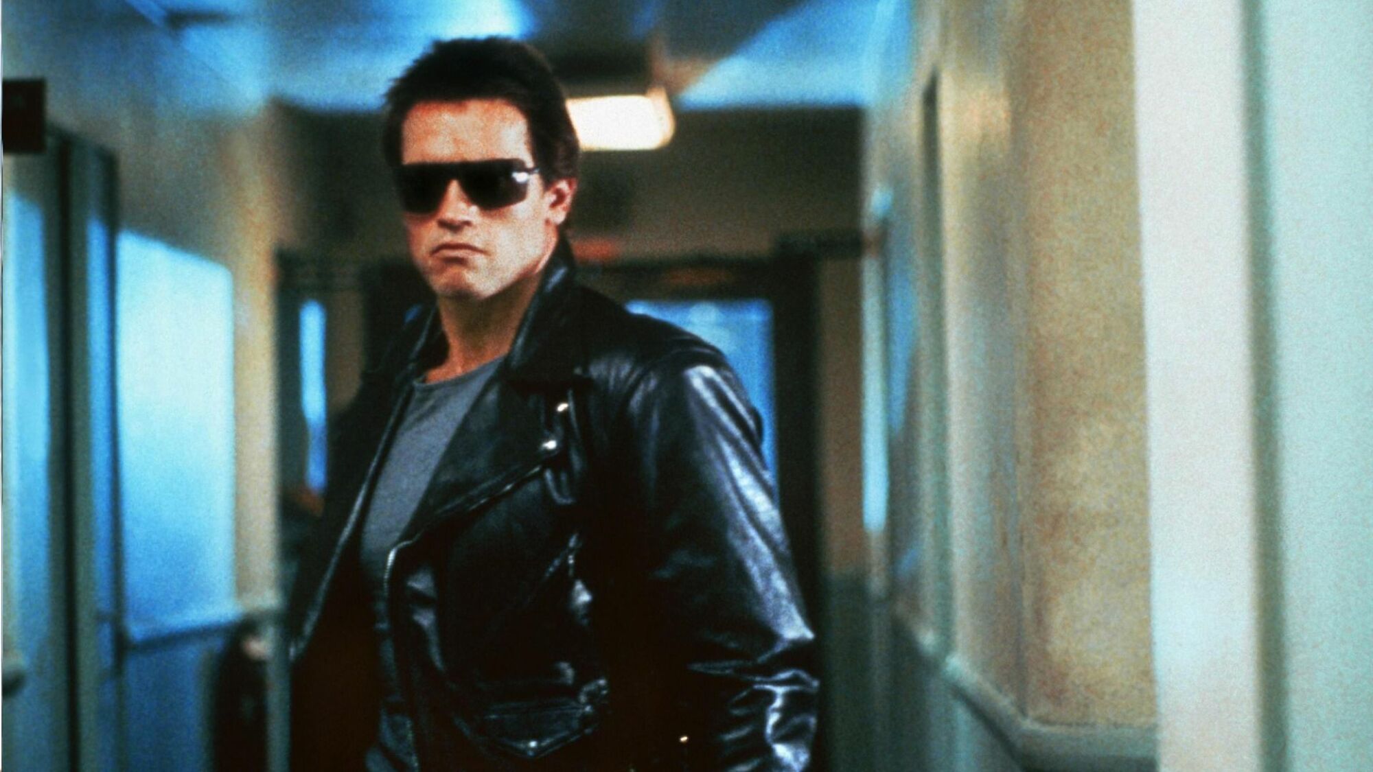 Arnold Schwarzenegger as The Terminator