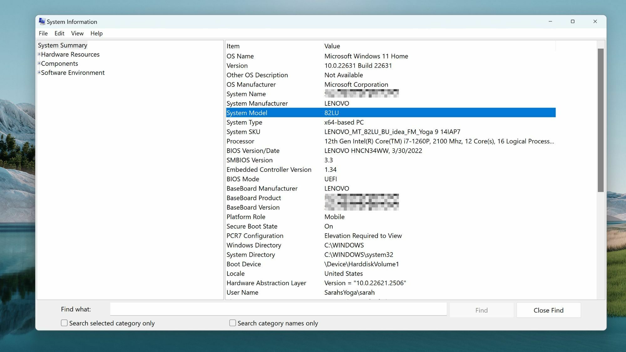 System Model info in System Information (Windows)