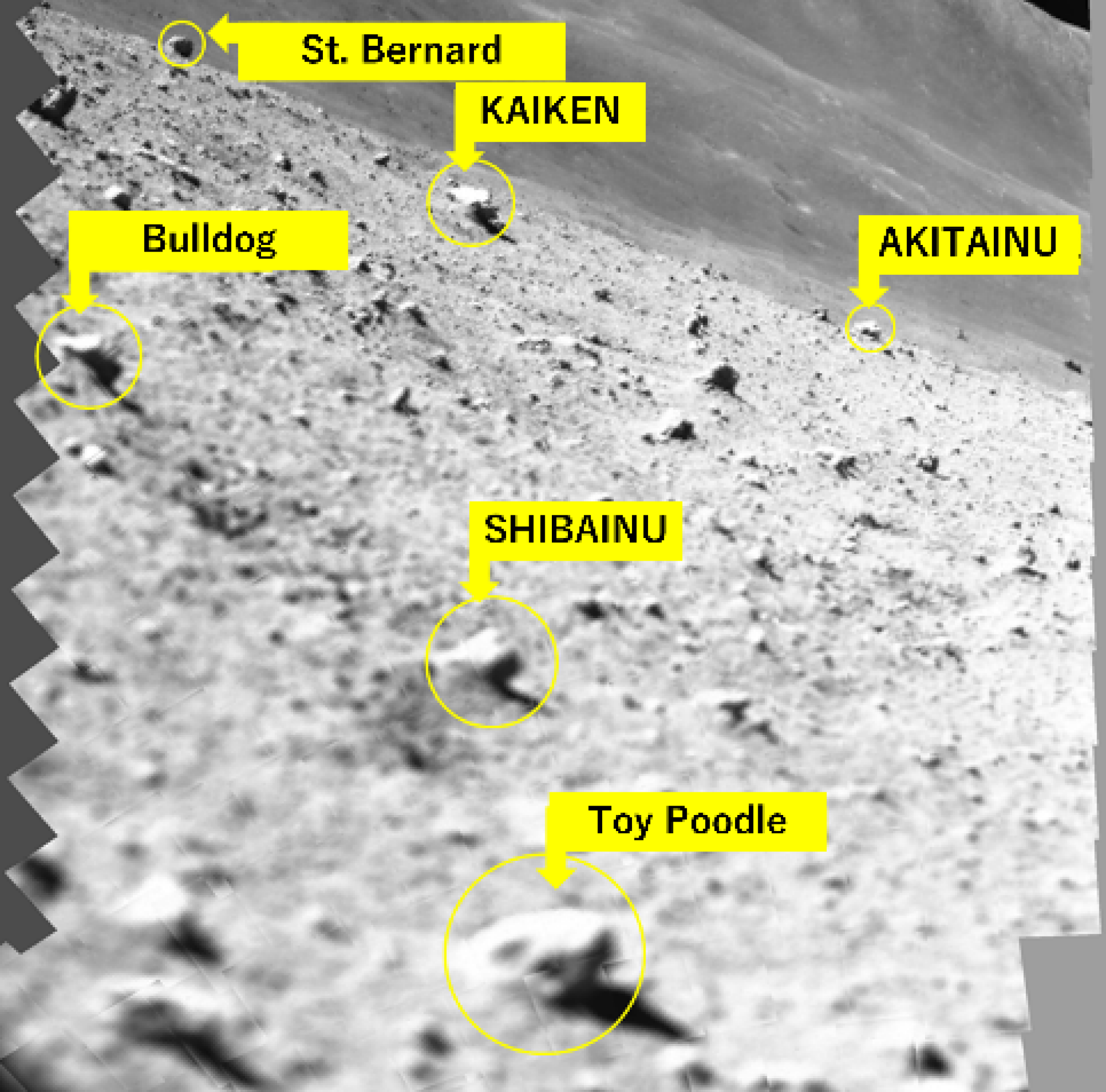 JAXA naming lunar rocks