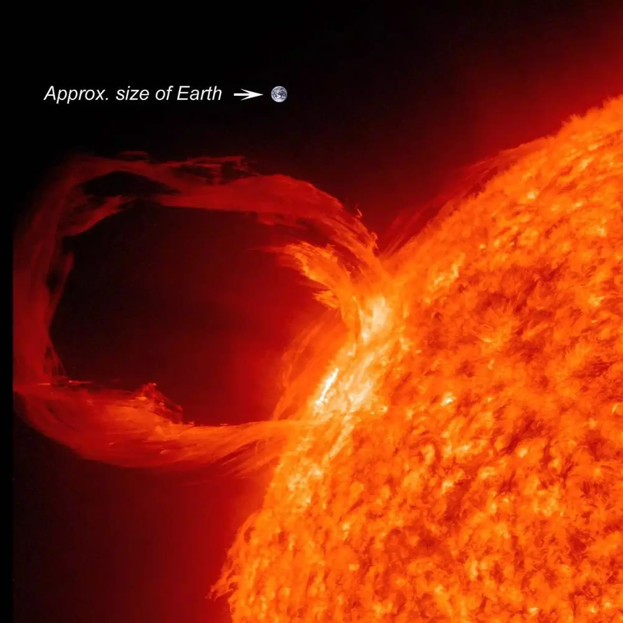 A solar prominence launching from the solar surface
