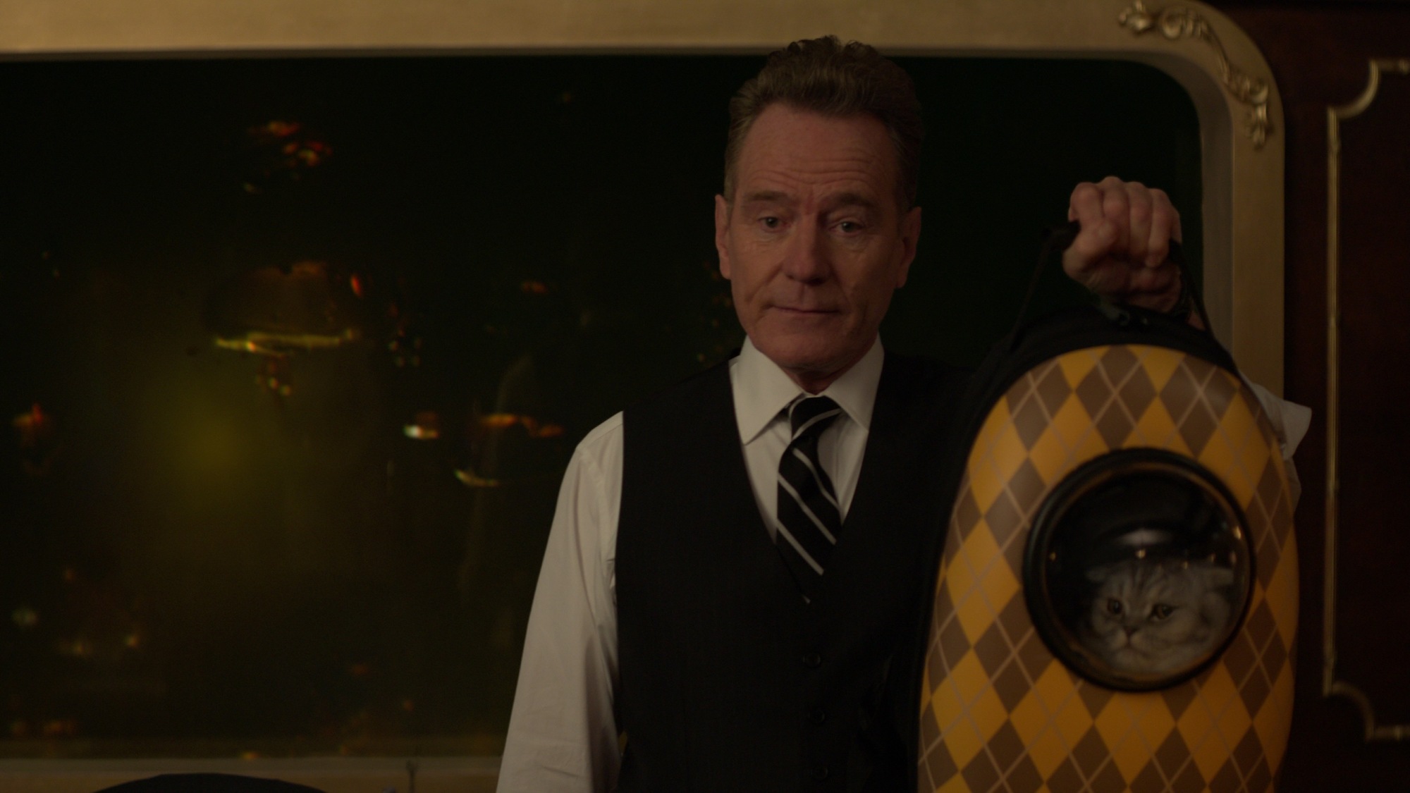 Bryan Cranston holds a cat. 