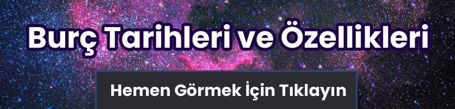 11 Ağustos Hangi Burç Oluyor 2024 Özellikleri, Yükseleni ve Burç Yorumu