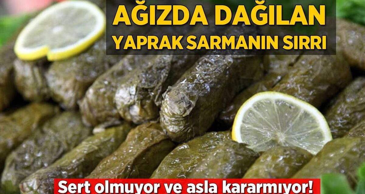 Ağızda dağılan yaprak sarma böyle pişirilir! Sert olmuyor ve asla üstü kararmıyor