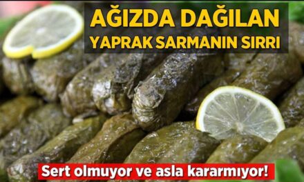 Ağızda dağılan yaprak sarma böyle pişirilir! Sert olmuyor ve asla üstü kararmıyor