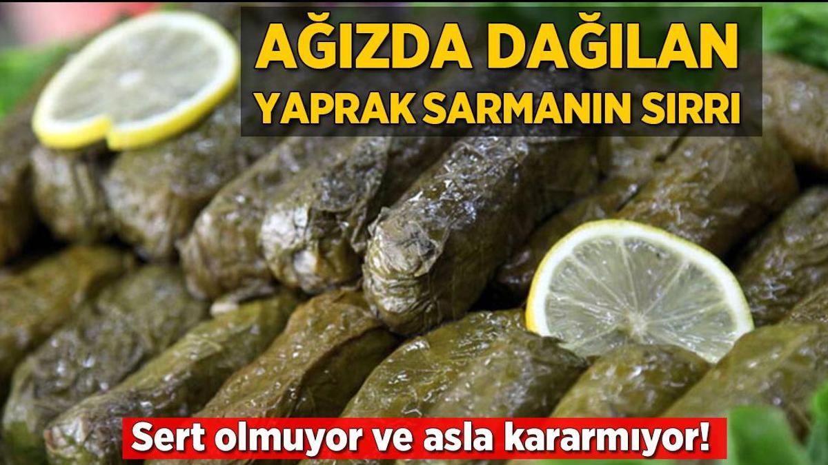 Ağızda dağılan yaprak sarma böyle pişirilir! Sert olmuyor ve asla üstü kararmıyor
