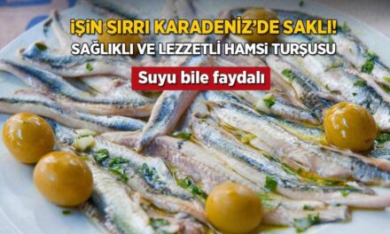 İşin sırrı Karadenizlilerde saklı! Hamsiyle yapılıyor, suyu bile faydalıymış
