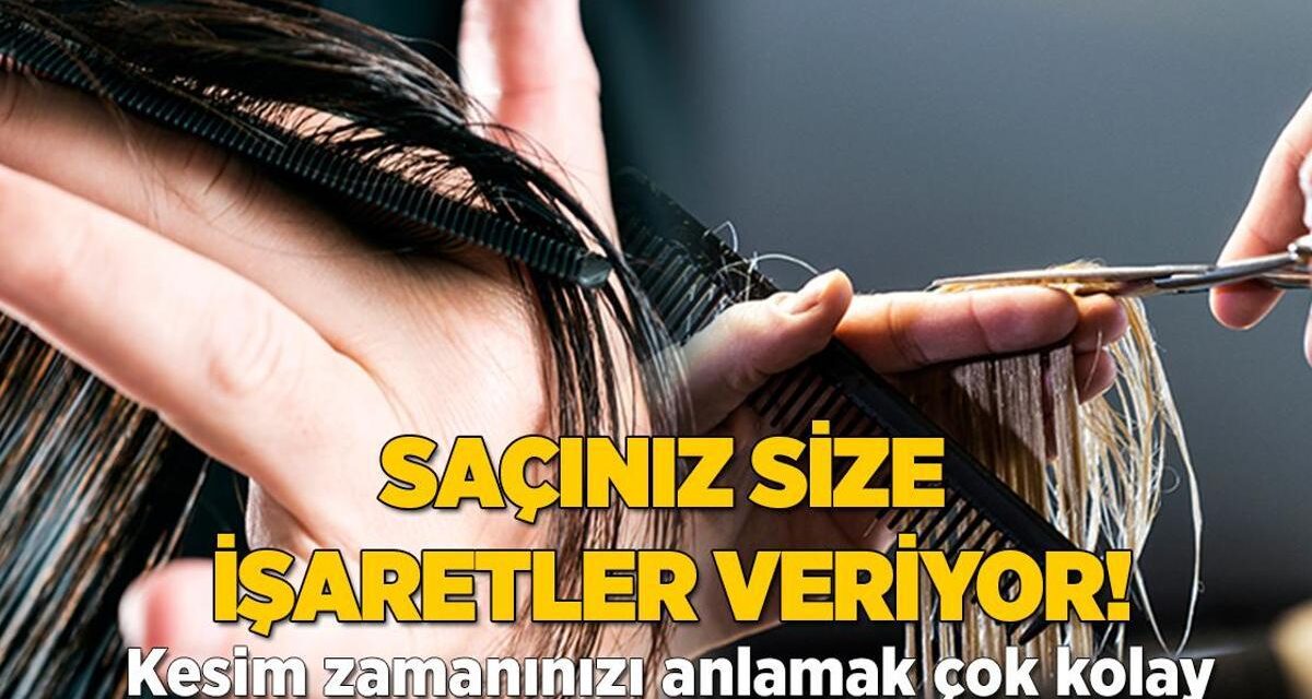 Kararsızsanız ne yapılacağını açıklıyoruz! Saç kesim zamanınız bu işaretlerde saklı