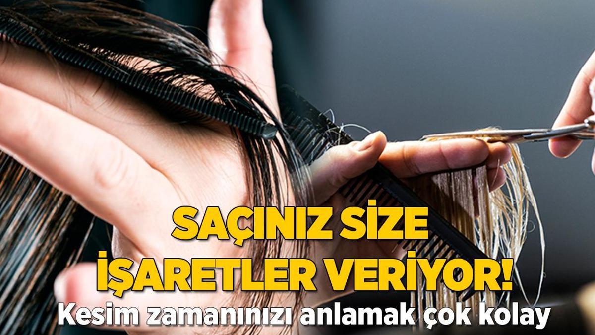 Kararsızsanız ne yapılacağını açıklıyoruz! Saç kesim zamanınız bu işaretlerde saklı