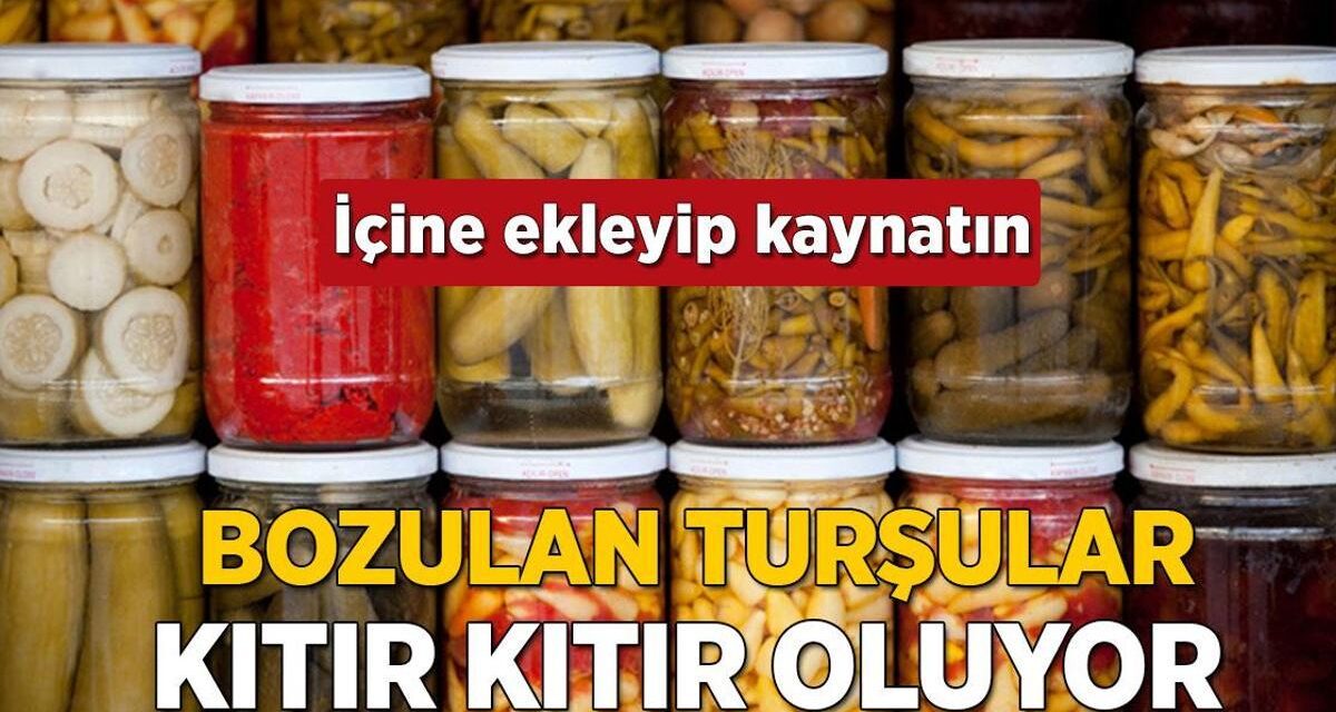 Turşucuların sır gibi sakladığı yöntem! Bozulup yumuşasa bile kıtır kıtır oluyor