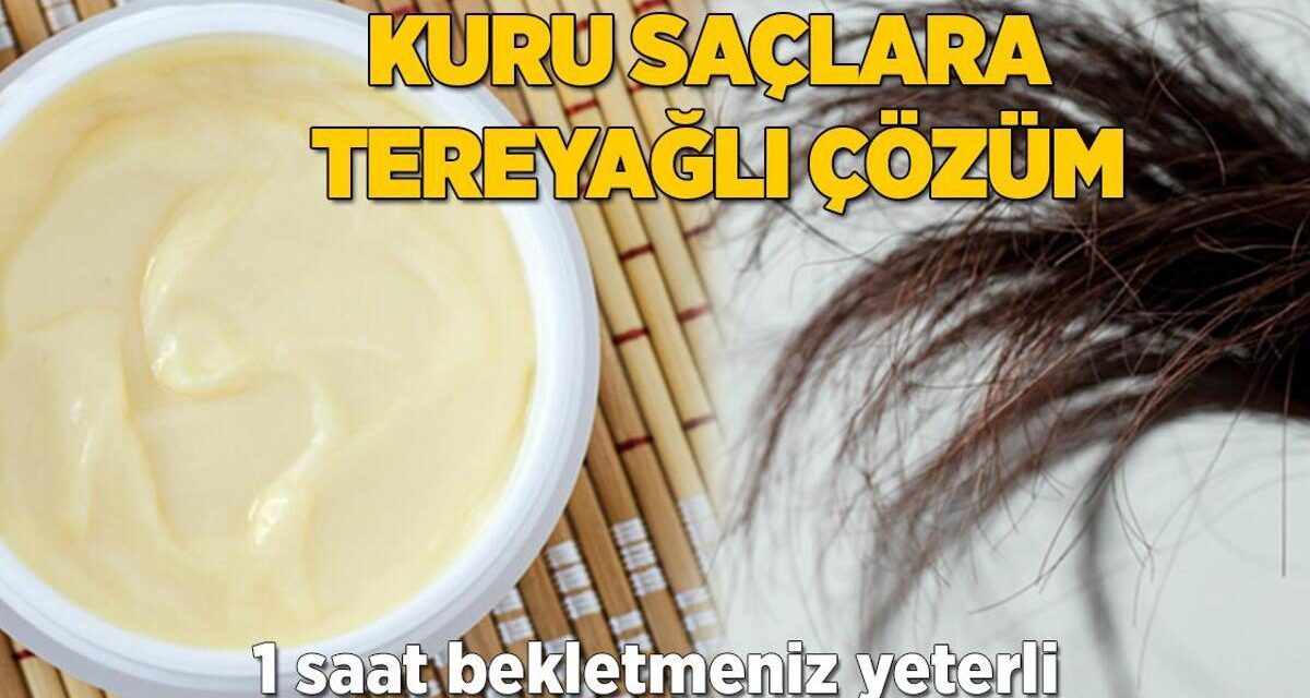 Kuru saçlara tereyağlı bakım! 1 saat bekletince sonuca inanamayacaksınız