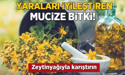 Yaraları iyileştiren mucize! Zeytinyağıyla karıştırınca hızla kapatıyor, leke kalmıyor