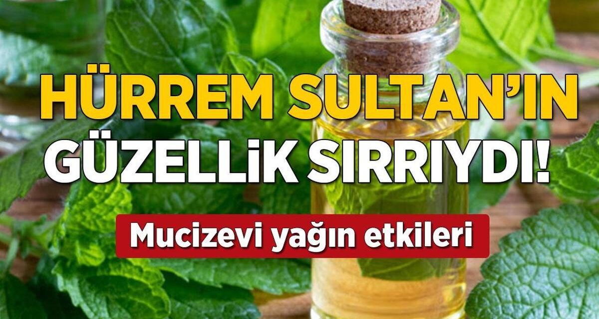 Hürrem Sultan’ın güzellik sırrı ortaya çıktı! Melisa otu faydaları…