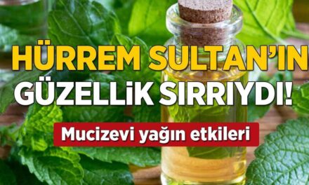 Hürrem Sultan’ın güzellik sırrı ortaya çıktı! Melisa otu faydaları…