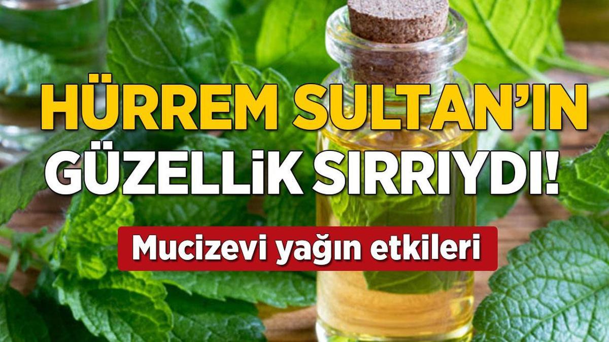 Hürrem Sultan’ın güzellik sırrı ortaya çıktı! Melisa otu faydaları…