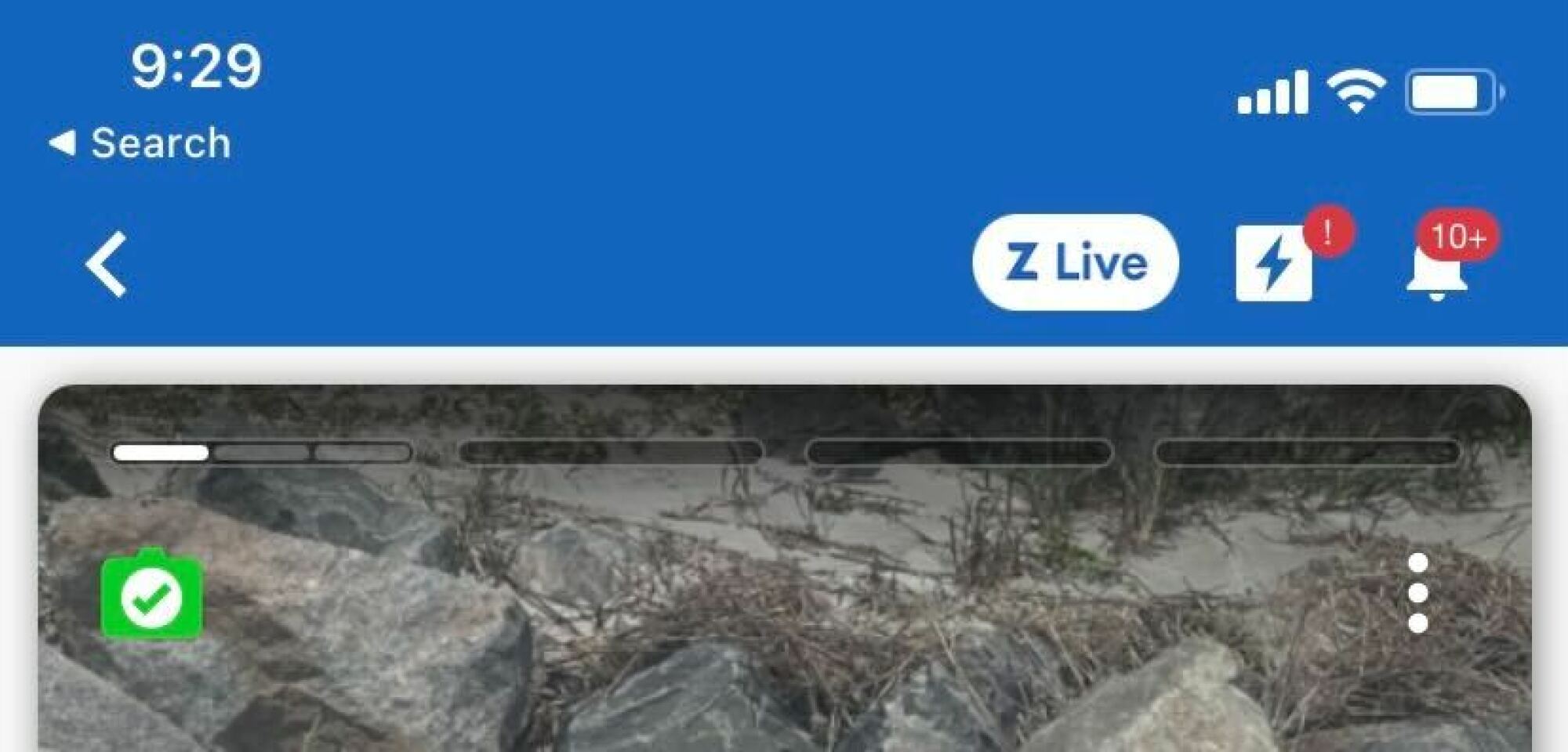 green checkmark at the top of a Zoosk profile