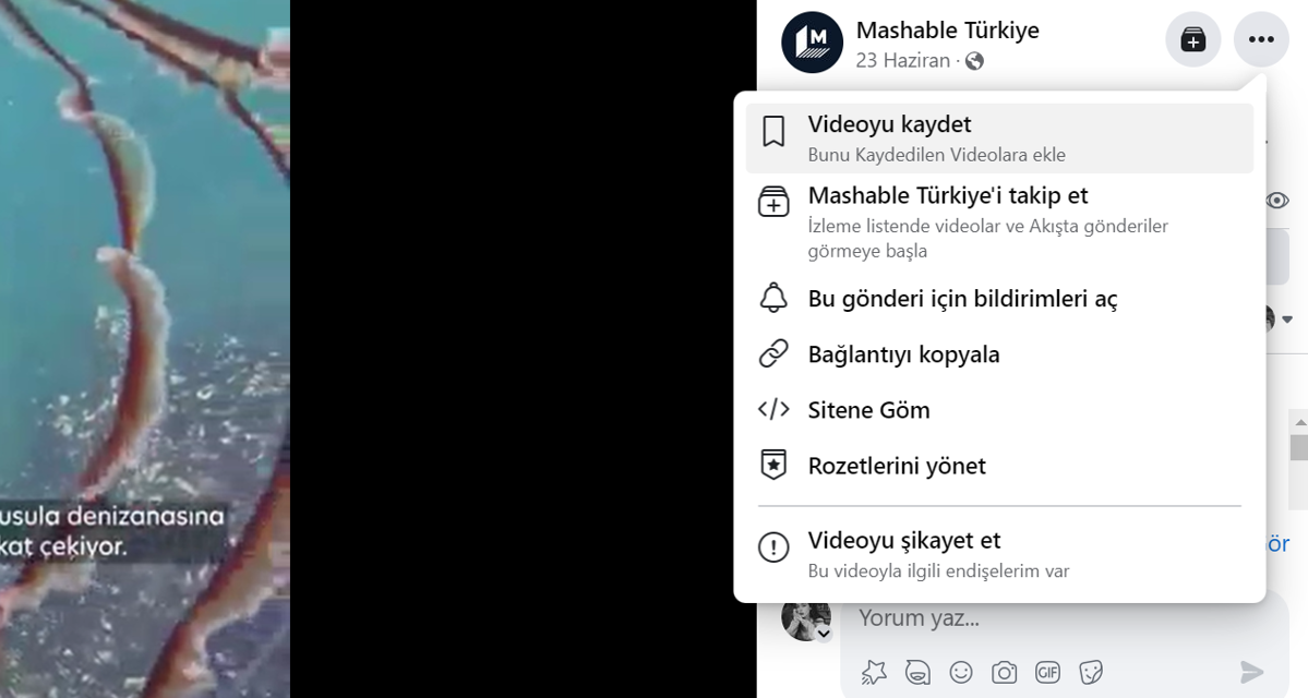 Facebook video indirme – Facebook’tan video nasıl indirilir?