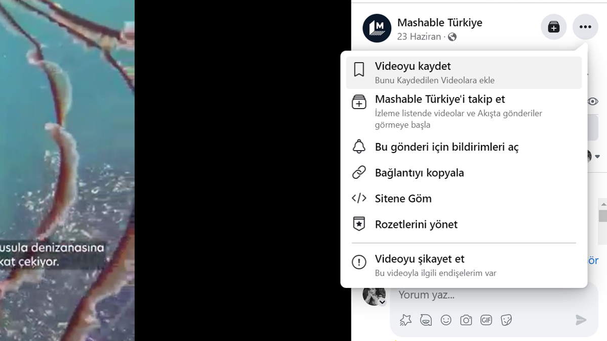 Facebook video indirme – Facebook’tan video nasıl indirilir?