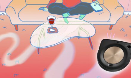 5 best robot vacuums for carpet in 2024: The most reliable Roomba, Shark, and Roborock models