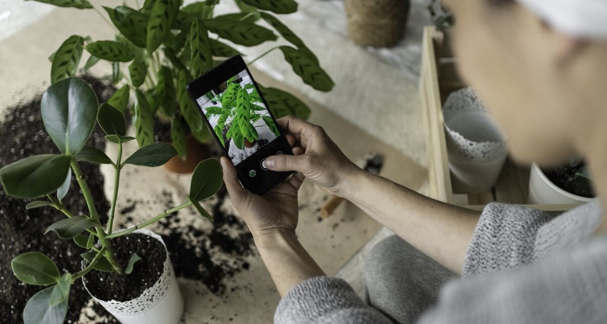 Become a plant expert with this iOS app for $15