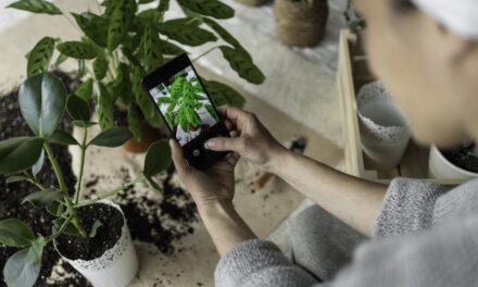 Become a plant expert with this iOS app for $15