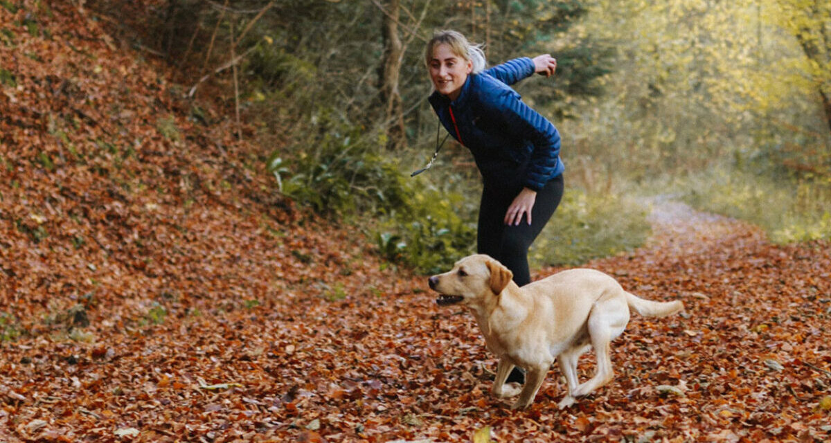 Best puppy and dog training course deal: 90% off