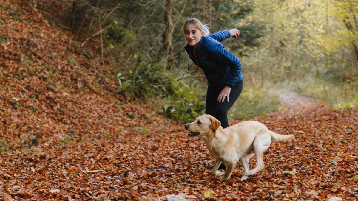 Best puppy and dog training course deal: 90% off