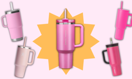 Pink Starbucks x Stanley cup dupes: Shop these 10 alternatives