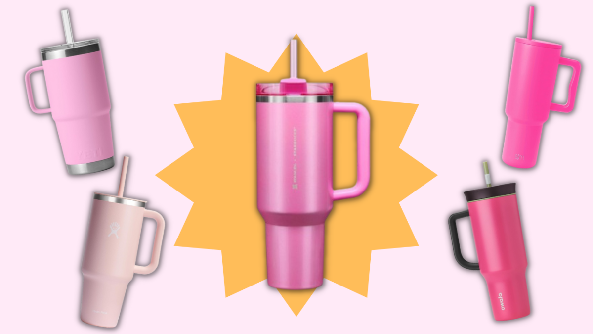 Pink Starbucks x Stanley cup dupes: Shop these 10 alternatives