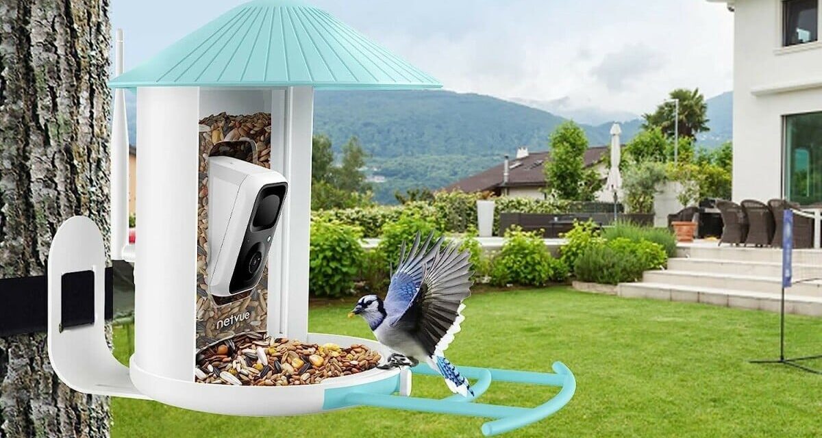 Best wildlife spotting deal: Get the Birdfy Feeder for under $150