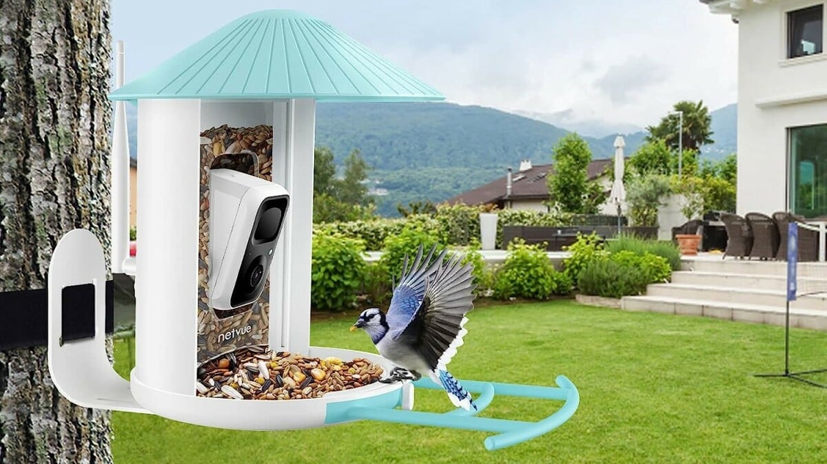 Best wildlife spotting deal: Get the Birdfy Feeder for under $150