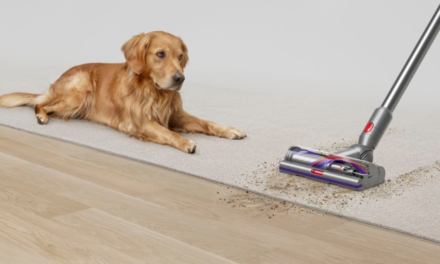 Best Dyson deal: Get a Dyson V15 Detect Extra for $599.99 at Best Buy