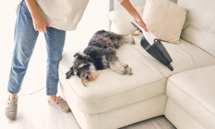 The best pet vacuum deals at Amazon this week