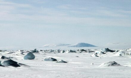 Kutuplarda 'güneş kremi' kalıntılarına rastlandı
