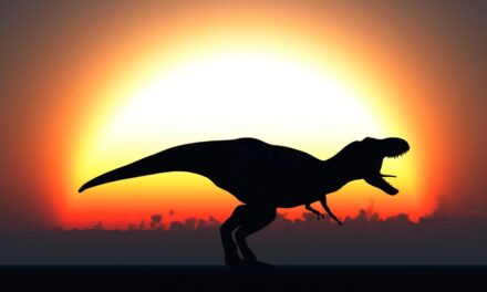 T.Rex’in en yakın akrabası ile tanışın: Sadece 71 milyon yıl yaşında!