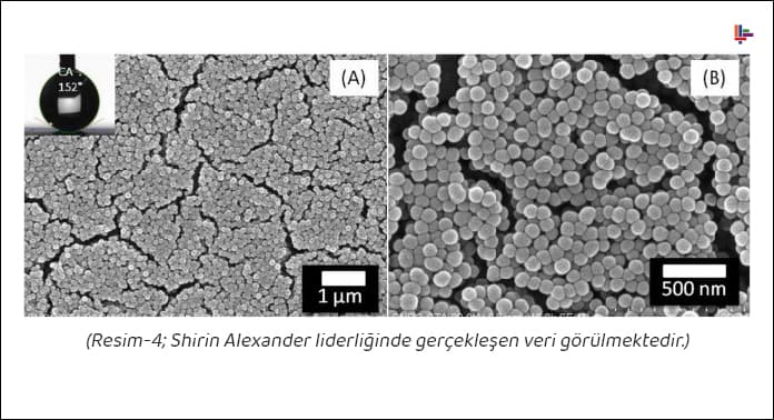 resim-4-shirin-alexander-liderliginde-gerceklesen-veriler