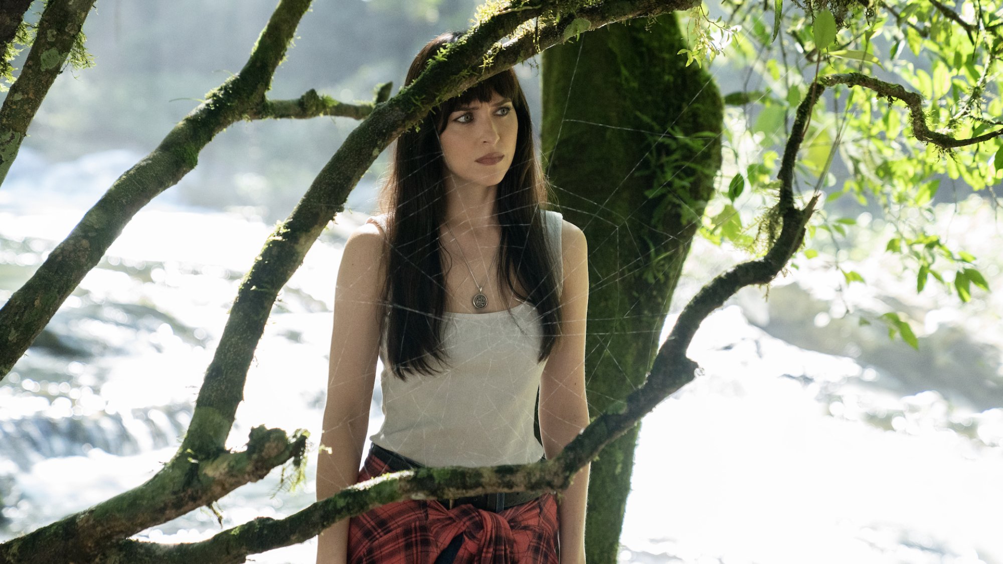 A woman stands in a forest behind a spider web.