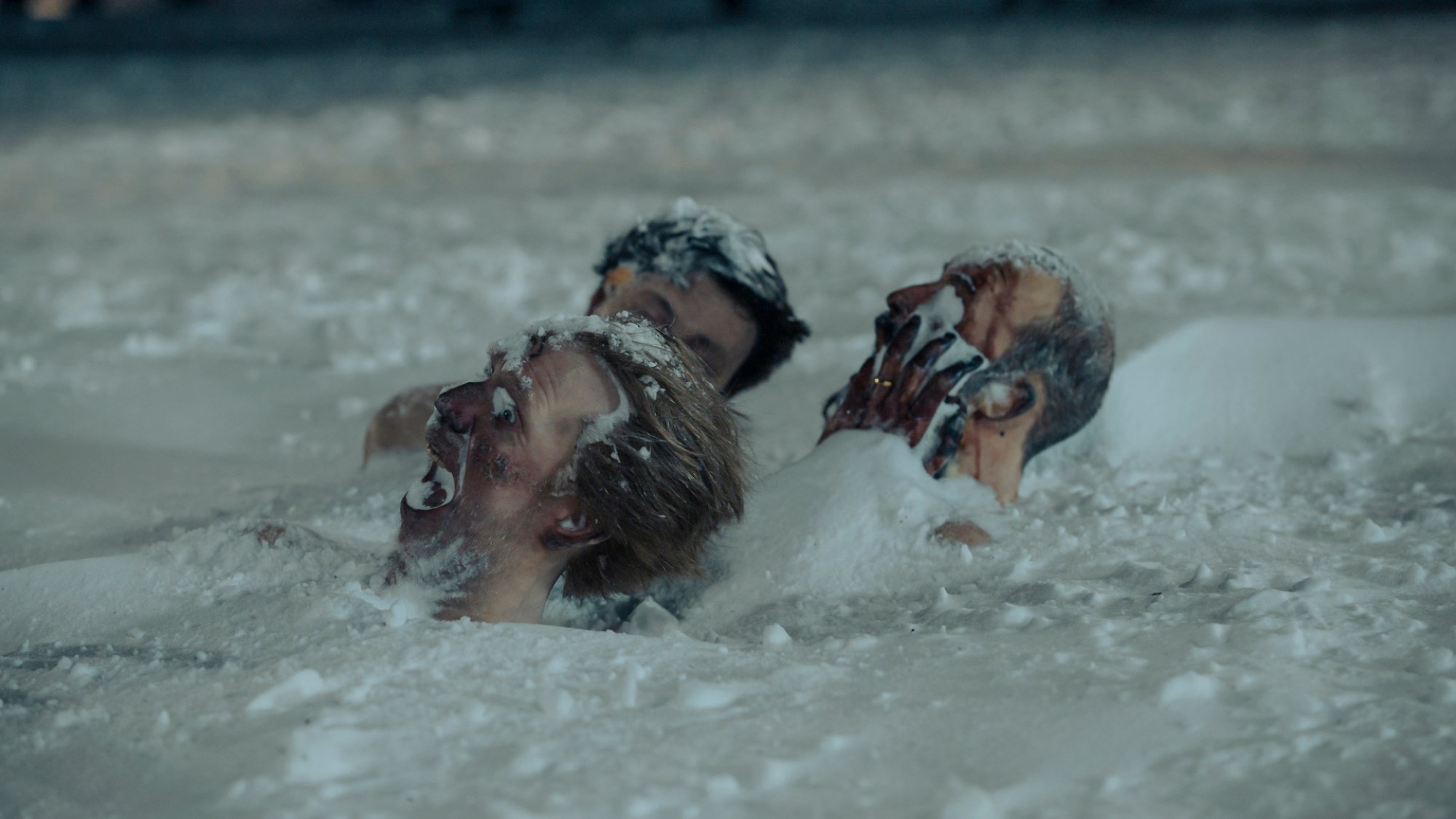 Three heads protrude from the ice.