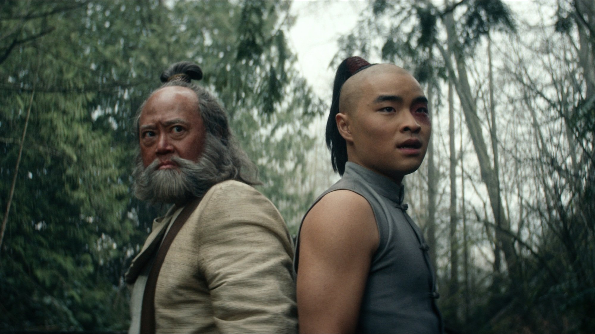 Iroh and Zuko stand back to back in a forest.
