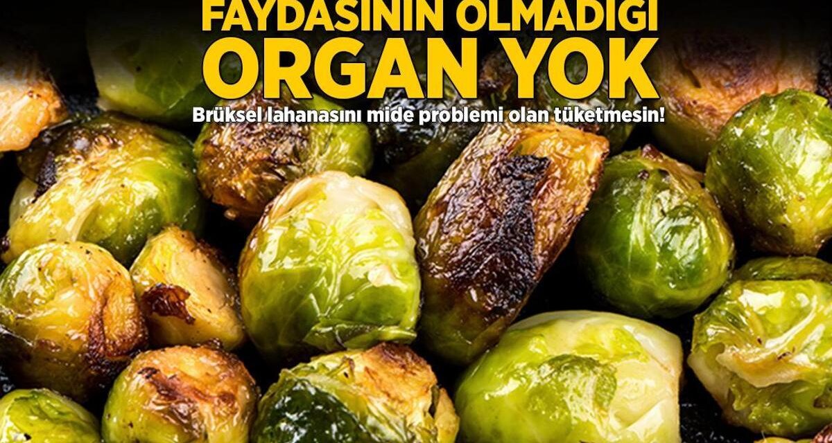 Faydasının olmadığı organ yok! Brüksel lahanasını mide problemi olan tüketmesin