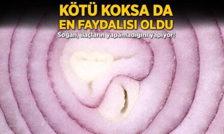 Kötü koksa da en faydalısı oldu! Soğan, ilaçların yapamadığını yapıyor