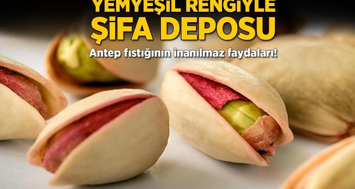 Yemyeşil rengiyle şifa deposu! Antep fıstığının inanılmaz faydaları